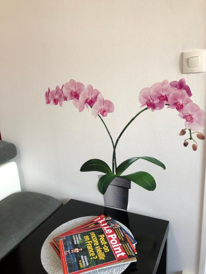 BedinReims burgundy bottle free parking&wifi free ideal 4 à 8 Adultes Exterior foto