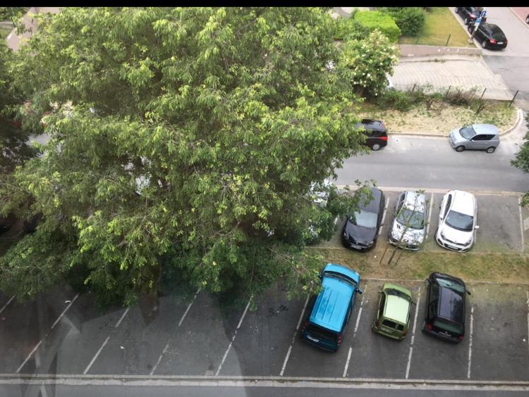 BedinReims burgundy bottle free parking&wifi free ideal 4 à 8 Adultes Exterior foto