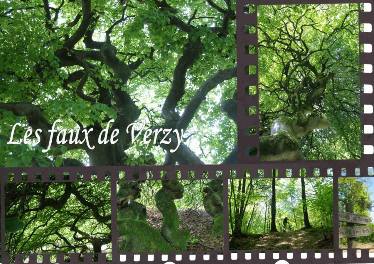 BedinReims burgundy bottle free parking&wifi free ideal 4 à 8 Adultes Exterior foto